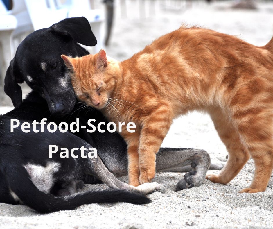 Un petfood-score par taux de glucides est-il fiable ?