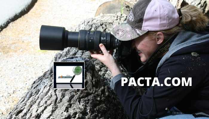 Les enquêtes des détectives privés concernent aussi les particuliers.