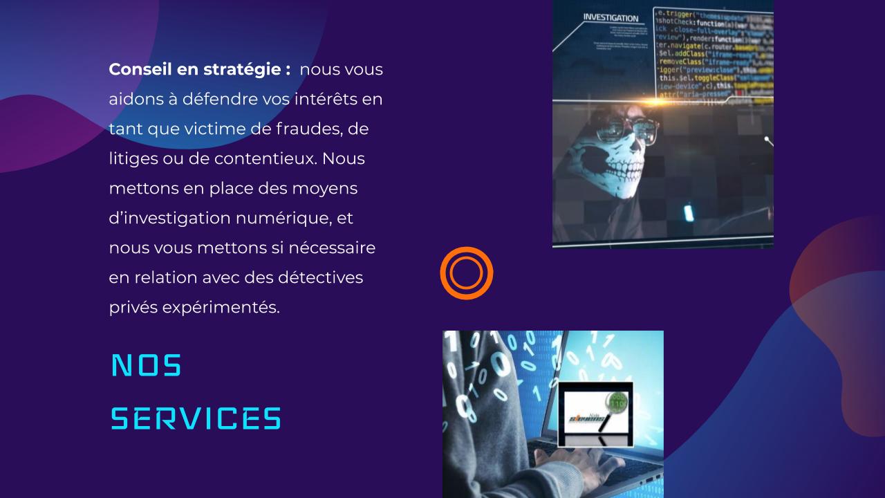 Cybercriminalité : Consultant en informatique à Albertville