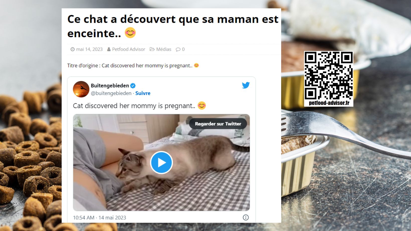 Ce chat a découvert que sa mère est enceinte