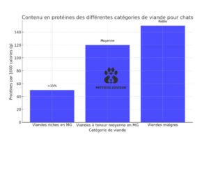 Alimentation crue pour chats : l'importance des protéines et des matières grasses
