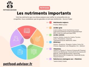 Petfood-score : quels sont les nutriments importants ?