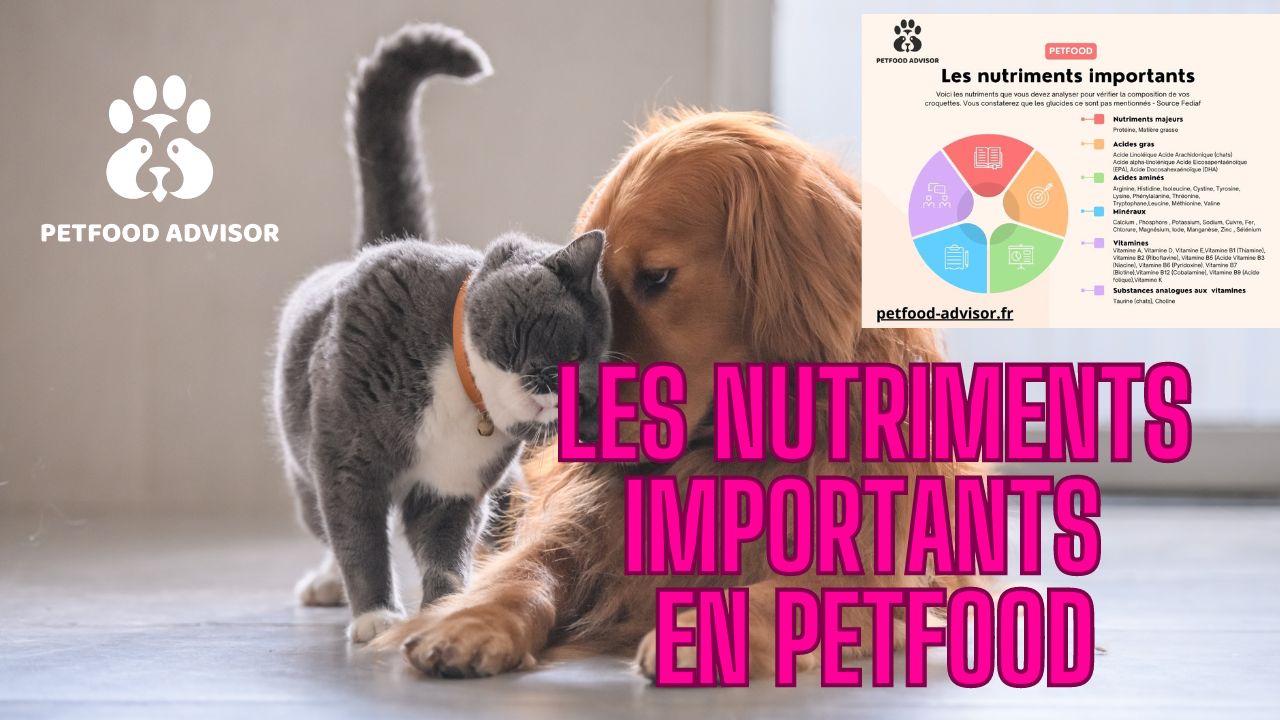 Un petfood-score ABCDE pour les nutriments importants