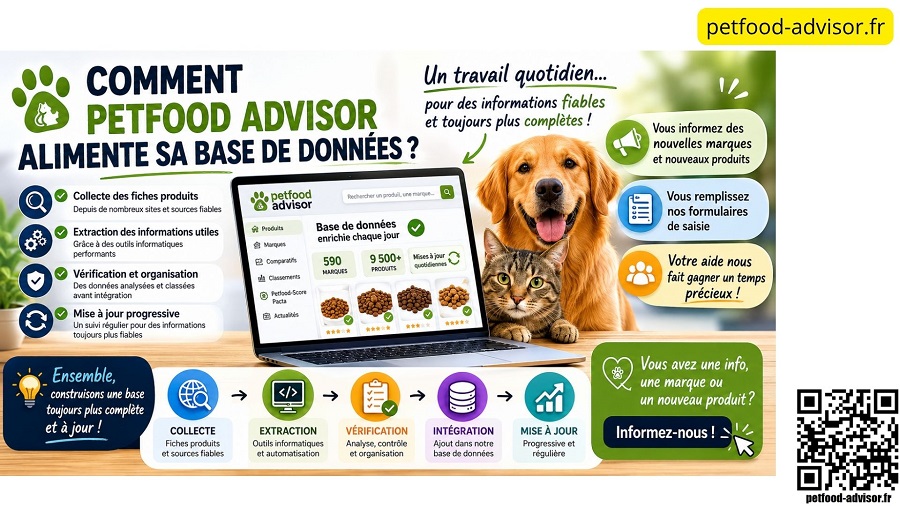 Alimentation de notre base de données