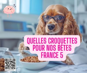 Faut-il croire le reportage "Quelles croquettes pour nos bêtes" de France 5 ?