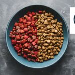 The origins of ABCDE petfood scoring systems: a legacy of simplification without scientific grounding